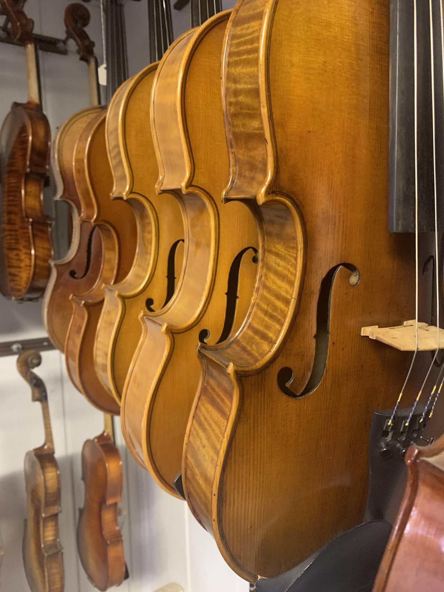 Adult and Student Violin Rentals Fegley Instruments & Bows